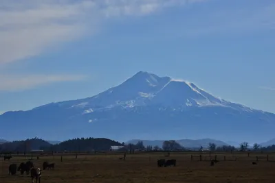 DSC_6041 (Large).JPG